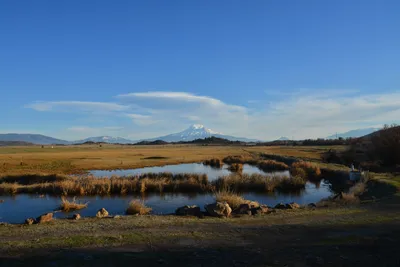 DSC_5996 (Large).JPG